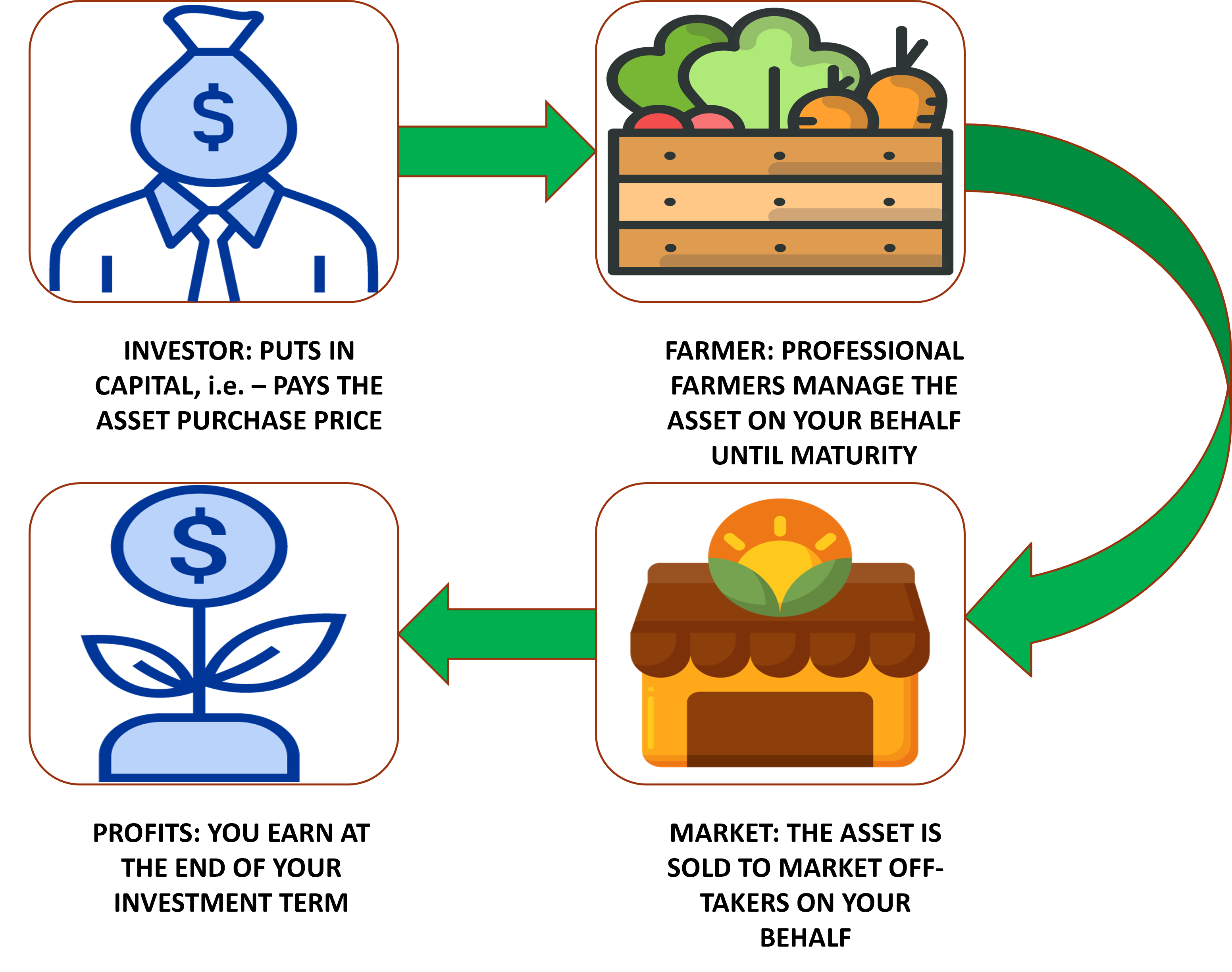 How It Works (Vegetables)